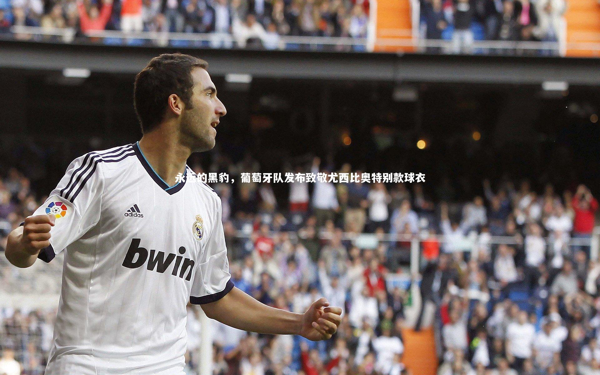 九游体育官网-永远的黑豹，葡萄牙队发布致敬尤西比奥特别款球衣